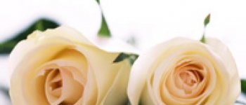 Cari Tau Lebih Banyak Tentang Daerah Kewanitaanmu yuk!