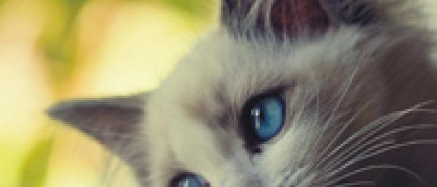 3 Trik Simple Biar Cepat Dapat Sahabat