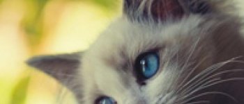 3 Trik Simple Biar Cepat Dapat Sahabat