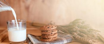 Cemilan Tepat untuk Tubuh Sehat