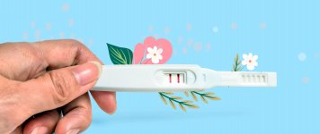 Kapan Test Pack Bisa Mendeteksi Kehamilan?