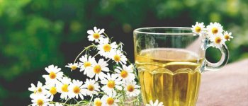 6 Jurus Atasi Nyeri Punggung Pas Menstruasi