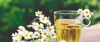 6 Jurus Atasi Nyeri Punggung Pas Menstruasi