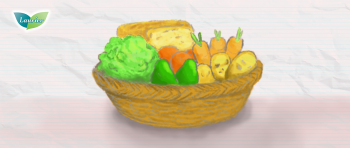 4 Jenis Makanan untuk Menjaga Kesehatan Ovarium