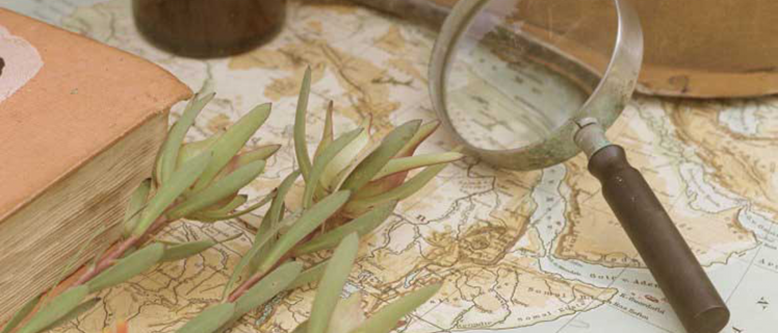 Jadi Bahan Gosip? Kalem Aja!