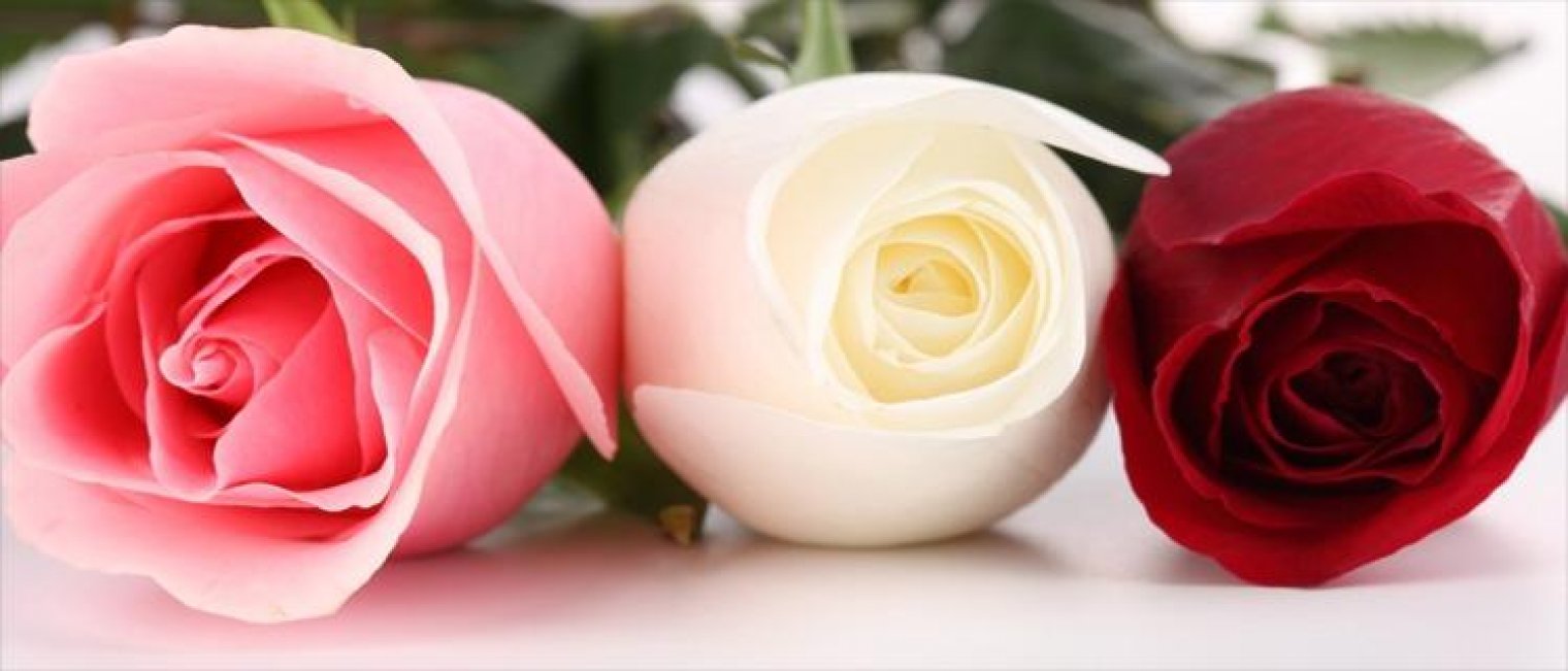 6 Tanda Gangguan pada Vagina