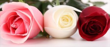 6 Tanda Gangguan pada Vagina