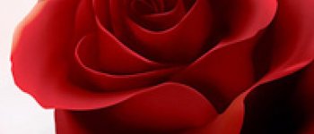 Hujan atau Menstruasi? Kok Deras Banget?