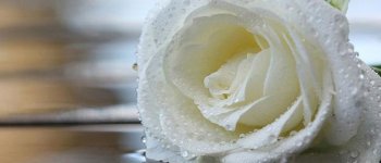 Stop Pakai Produk Kebersihan Vagina!