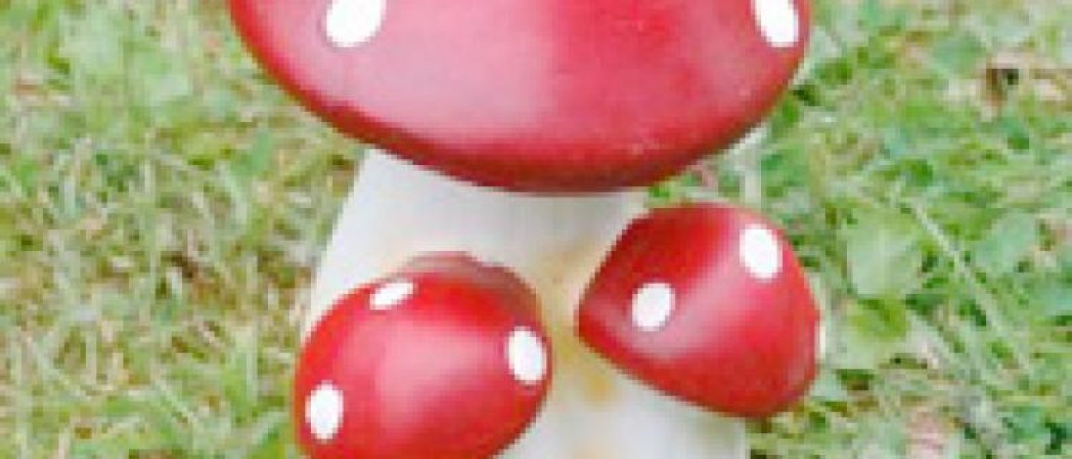 Yuk, Cegah Infeksi Jamur, Sebelum Terlambat!