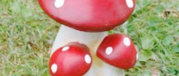 Yuk, Cegah Infeksi Jamur, Sebelum Terlambat!