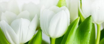 Ngobrol Singkat Soal Selaput Dara