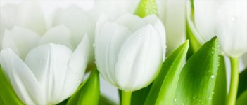 Ngobrol Singkat Soal Selaput Dara