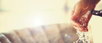 Cara yang Tepat Membersihkan Organ Intimmu!