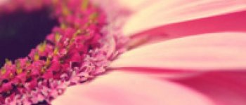 4 Fakta Menarik Tentang Vagina yang Belum Kamu Tahu!