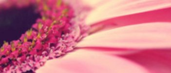 4 Fakta Menarik Tentang Vagina yang Belum Kamu Tahu!