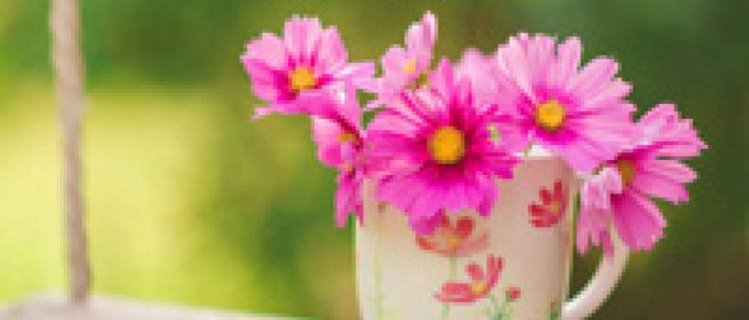 Fakta Lain Dibalik Menstruasi