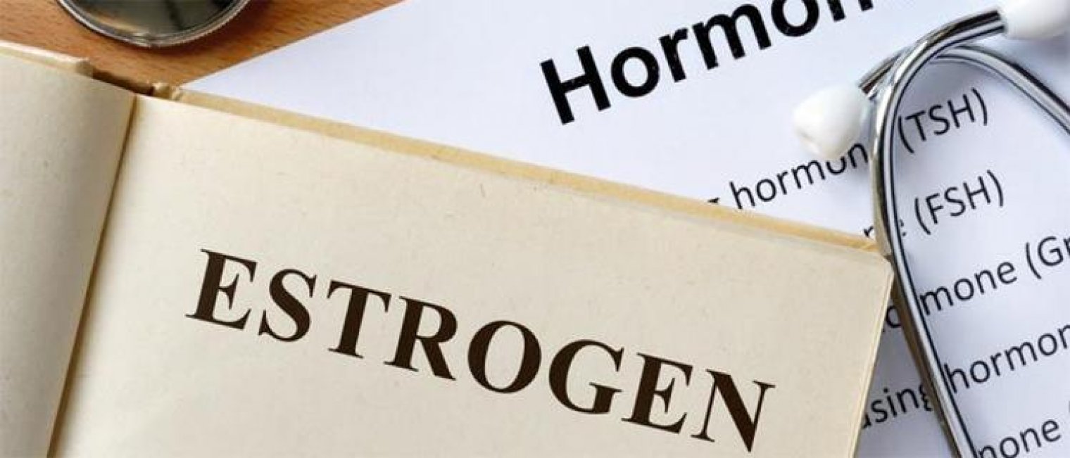 Cerita Singkat Tentang Si Estrogen