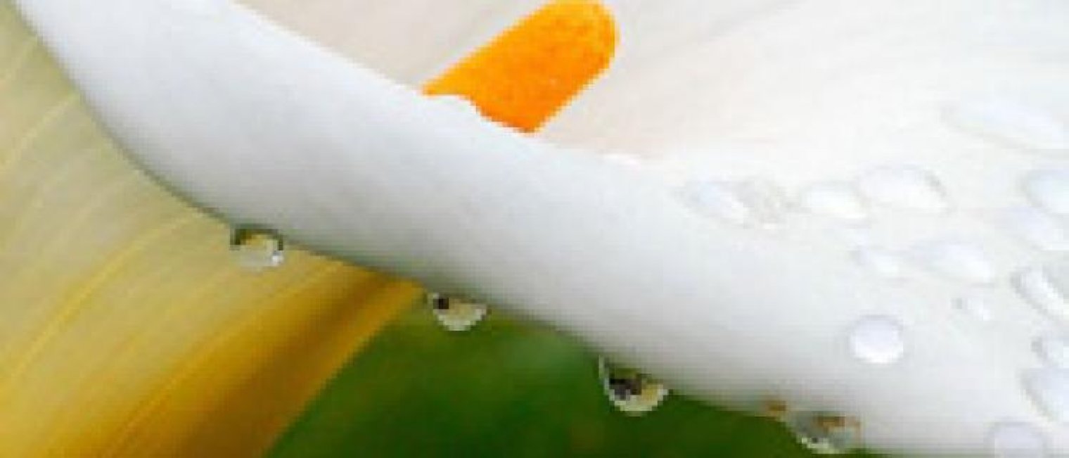 Menstruasi Itu Apa sih?