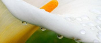 Menstruasi Itu Apa sih?