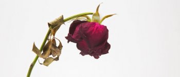 Tips Biar Kamu Tetap Semangat Saat Menstruasi!