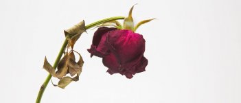 Tips Biar Kamu Tetap Semangat Saat Menstruasi!