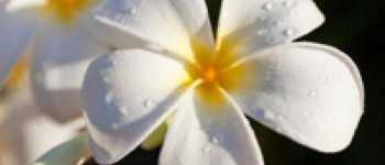 Bersih dan Segar Setelah Menstruasi