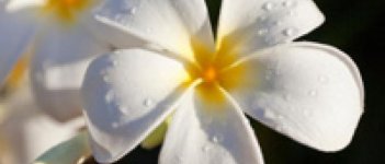 Bersih dan Segar Setelah Menstruasi