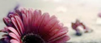 5 Gejala PMT atau Pre-Menstrual Tension