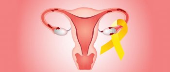 5 Fakta Tentang Indung Telur yang Harus Kamu Tau!