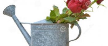 Apa Hubungannya Keteraturan Menstruasi Sama Kesuburan?