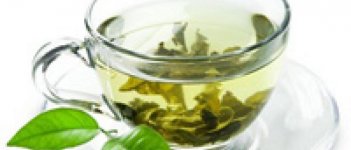 Cara Obati Miom dengan Teh Hijau