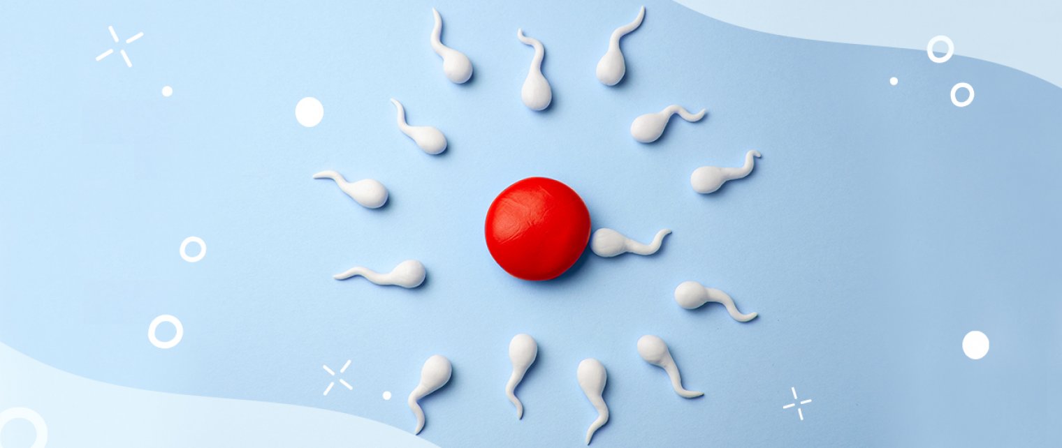 4 Cara Untuk Meningkatkan Kualitas Sel Telur