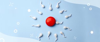 4 Cara Untuk Meningkatkan Kualitas Sel Telur